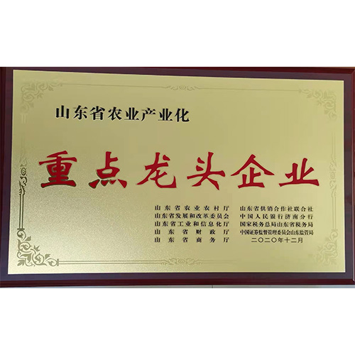 荣誉案例