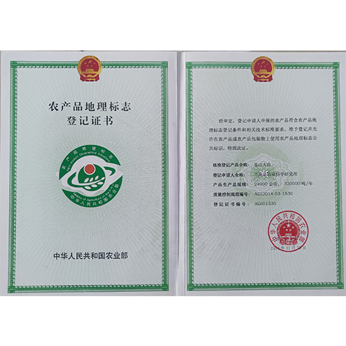 荣誉案例