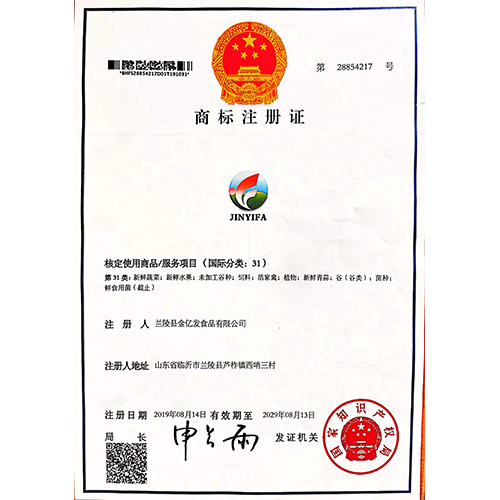 荣誉案例